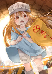 Rule 34 | 10s, 1girl, black footwear, blue shirt, blurry, blurry background, blush, boots, brown eyes, brown hair, character name, clothes writing, commentary request, depth of field, dutch angle, flag, flat cap, grey hat, grey shorts, hair between eyes, hat, hataraku saibou, highres, holding, holding flag, iroha (shiki), knee boots, long hair, looking at viewer, open mouth, platelet (hataraku saibou), shirt, short shorts, short sleeves, shorts, solo, standing, very long hair