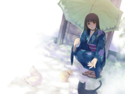 Rule 34 | blush, cat, fog, green hair, japanese clothes, kimono, long hair, morifumi, sandals, smile, squatting, umbrella