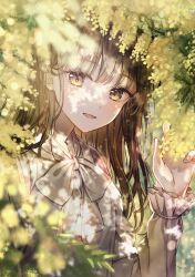 Rule 34 | 1girl, blurry, blush, bow, bowtie, brown hair, brown shirt, dappled sunlight, depth of field, flower, frilled sleeves, frills, hand up, highres, long hair, long sleeves, looking at viewer, mimosa (flower), original, parted lips, sakura (39ra), shirt, smile, solo, sunlight, upper body, yellow eyes, yellow flower