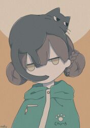 Rule 34 | 1girl, animal, animal on head, biting, biting another&#039;s tail, black cat, braid, braided bun, brown background, cat, cat on head, clothes writing, commentary, double bun, green hoodie, hair bun, highres, hood, hood down, hoodie, jitome, looking at viewer, on head, original, paw print, print hoodie, rororodly, sucking tail, tail, tail biting, updo, upper body
