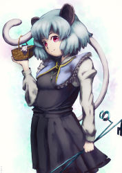Rule 34 | 1girl, animal ears, bad id, bad pixiv id, basket, breasts, capelet, dowsing rod, female focus, highres, jewelry, mouse (animal), mouse ears, mouse tail, nazrin, pendant, saebashi, small breasts, solo, tail, touhou