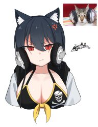 Rule 34 | 1girl, aircraft, airplane, anger vein, animal ear fluff, animal ears, annoyed, atamonica, bikini, bikini top only, black bikini, black hair, breasts, cat ears, cat girl, cleavage, commentary, cropped torso, english commentary, f-14 tomcat, fighter jet, front-tie bikini top, front-tie top, hair between eyes, headphones, highres, hood, hooded jacket, jacket, jet, jolly roger, large breasts, looking at viewer, meme request, military vehicle, open clothes, open jacket, original, photo-referenced, photo inset, red eyes, reference inset, short hair, simple background, skull and crossbones, solo, swimsuit, two-sided fabric, two-sided jacket, v-shaped eyebrows, vehicle and personification, white background, white jacket
