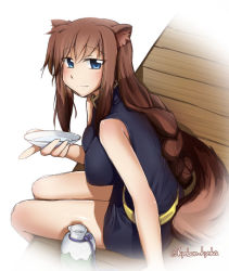Rule 34 | 10s, 1girl, alcohol, animal ears, bare shoulders, blue eyes, blush, braid, breasts, brioche d&#039;arquien, brown hair, dog days, dog ears, dog tail, kyouka kyouka, large breasts, long hair, looking at viewer, looking back, sakazuki, sitting, smile, solo, tail, twitter username