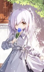Rule 34 | 1girl, blue flower, blue rose, bow, ciela (yuuhagi (amaretto-no-natsu)), collared dress, covered mouth, dress, flower, hair bow, hair over one eye, holding, long hair, long sleeves, looking at viewer, original, rose, sleeves past wrists, solo, two side up, white bow, white dress, white hair, yuuhagi (amaretto-no-natsu)