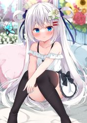 Rule 34 | 1girl, animal, bare shoulders, black thighhighs, blue bow, blue eyes, blue nails, blush, bow, bug, butterfly, closed mouth, collarbone, commentary request, commission, day, dress, feet out of frame, flower, frilled dress, frills, hair between eyes, hair bow, hair flower, hair ornament, hair rings, hairclip, highres, indoors, insect, knees together feet apart, knees up, kujou danbo, long hair, looking at viewer, nail polish, off-shoulder dress, off shoulder, original, own hands together, panties, pillow, pixiv commission, red flower, red rose, rose, sitting, smile, solo, sunflower, thighhighs, underwear, very long hair, white flower, white hair, white panties, window, yellow flower