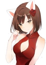 Rule 34 | 10s, 1girl, animal ears, bad id, bad tumblr id, bare shoulders, breasts, brown eyes, brown hair, cat ears, china dress, chinese clothes, cleavage, cleavage cutout, clothing cutout, dress, flower, hair flower, hair ornament, idolmaster, idolmaster cinderella girls, looking at viewer, lpip, maekawa miku, medium breasts, paw pose, red flower, red rose, rose, simple background, smile, solo, upper body, white background