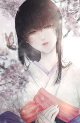 Rule 34 | 1girl, absurdres, black eyes, black hair, blurry, branch, bug, butterfly, depth of field, eyelashes, flower, hair flowing over, head tilt, highres, huge filesize, insect, japanese clothes, kimono, lipstick, long hair, looking at viewer, makeup, parted lips, red lips, rurouni kenshin, satsuki kei, solo, upper body, yukishiro tomoe