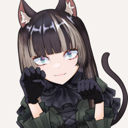 Rule 34 | 1girl, animal ear fluff, animal ears, black dress, black gloves, black hair, blue eyes, blunt bangs, cat ears, cat tail, dress, esuki, gloves, gothic lolita, grey hair, highres, hololive, hololive dev is, juufuutei raden, lolita fashion, long hair, looking at viewer, multicolored hair, sidelocks, smile, solo, streaked hair, tail, virtual youtuber, white background