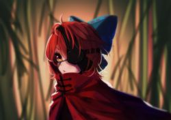 Rule 34 | 1girl, berabou, blue bow, blurry, bow, cape, depth of field, eyepatch, from side, hair bow, image sample, md5 mismatch, orange eyes, parted lips, red eyes, red hair, resized, resolution mismatch, sekibanki, short hair, solo, source larger, touhou, upper body