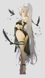 Rule 34 | 1girl, arknights, ass, bare legs, bare shoulders, barefoot, bird, black one-piece swimsuit, breasts, brown eyes, commentary request, eyyy, full body, grey background, highres, horns, infection monitor (arknights), long hair, looking at viewer, medium breasts, official alternate costume, one-piece swimsuit, partial commentary, pointy ears, ponytail, shining (arknights), shining (silent night) (arknights), silver hair, simple background, solo, standing, swimsuit, thigh strap, thighs, very long hair