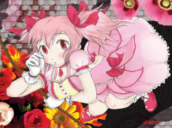 Rule 34 | bow (weapon), choker, flower, frilled sleeves, frills, gekidan inu curry (style), gloves, hand on own face, highres, holding, holding bow (weapon), holding weapon, kaname madoka, looking at viewer, magical girl, mahou shoujo madoka magica, mahou shoujo madoka magica (anime), non-web source, rose, solo, sunflower, tagme, weapon, white gloves