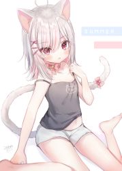 Rule 34 | 1girl, ahoge, animal ear fluff, animal ears, bad id, bad pixiv id, bare arms, bare shoulders, barefoot, bell, black camisole, blush, bow, camisole, cat ears, cat girl, cat tail, commentary request, hair between eyes, hair ornament, hairclip, highres, jingle bell, manao-ke, manao misuzu, manao misuzu (artist), navel, parted lips, pink bow, red eyes, shadow, short shorts, shorts, signature, silver hair, sitting, solo, strap slip, tail, tail bow, tail ornament, virtual youtuber, wariza, white background, white shorts, x hair ornament