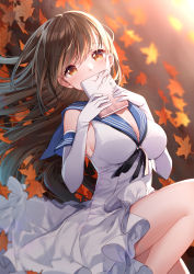 Rule 34 | 1girl, autumn leaves, bison cangshu, blue sailor collar, book, breasts, brown eyes, brown hair, cleavage, commentary request, covered mouth, dress, elbow gloves, frilled dress, frills, gloves, hands up, hermes (warship girls r), highres, holding, holding book, leaf, long hair, looking at viewer, lying, maple leaf, medium breasts, on back, sailor collar, sailor dress, sleeveless, sleeveless dress, solo, very long hair, warship girls r, white dress, white gloves
