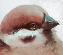 Rule 34 | animal focus, bad id, bad pixiv id, bird, black eyes, commentary, crying, crying with eyes open, eurasian tree sparrow, from side, grey background, looking at viewer, manino (mofuritaionaka), original, portrait, profile, signature, sparrow, tears