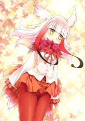 Rule 34 | 10s, 1girl, 54hao, absurdres, ass, autumn leaves, black hair, blunt bangs, blush, covered mouth, crotch seam, dutch angle, frilled sleeves, frills, fur collar, gradient hair, hands in opposite sleeves, head wings, highres, japanese crested ibis (kemono friends), kemono friends, long hair, long sleeves, looking away, multicolored hair, pantyhose, pleated skirt, red hair, red pantyhose, red ribbon, red skirt, ribbon, shirt, sidelocks, skirt, solo, tail, white hair, white shirt, white wings, wide sleeves, wings, yellow eyes