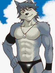 Rule 34 | 1boy, abs, animal ears, armband, bicep strap, black armband, blue sky, cloud, cloudy sky, commentary request, dog boy, dog ears, furry, furry male, hands on own hips, jewelry, kouya aotsuki, looking at viewer, male focus, male swimwear, morenatsu, necklace, one eye closed, pectorals, shirako (kirupi), sky, smile, swim briefs, topless male