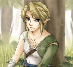 Rule 34 | 1boy, bandages, blonde hair, blue eyes, earrings, forest, grass, jewelry, link, male focus, nature, nintendo, plant, pointy ears, short hair, sitting, smile, solo, sparkle, teru suzu, the legend of zelda, the legend of zelda: twilight princess, tree