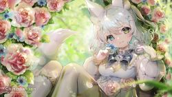 Rule 34 | 1girl, :3, animal ear fluff, animal ears, blue bow, blue bowtie, blue eyes, blurry, blurry background, bow, bowtie, breasts, collar, commission, constellation hair ornament, curly hair, dress, ear ornament, earclip, felicia (vtuber), flower, fox ears, fox tail, frilled collar, frilled dress, frills, gaogao (gaogaomegu), green eyes, grey hair, hair ornament, heterochromia, highres, holding, holding flower, indie virtual youtuber, looking at viewer, medium breasts, medium hair, outdoors, petals, pink flower, pink rose, rose, rose petals, signature, sitting, skeb commission, sleeve cuffs, snowflake hair ornament, solo, tail, virtual youtuber, white dress
