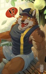 Rule 34 | !?, 1boy, animal ears, bara, bare arms, bare shoulders, barrel (live a hero), beige fur, bench, black tank top, brown fur, bulge, covered erect nipples, dog boy, dog ears, dog tail, furry, furry male, hat, large pectorals, live a hero, looking at viewer, male focus, mumuthelion, muscular, orange fur, pectorals, saliva, short hair, shorts, sitting, sleeveless, solo, sparkling eyes, tail, tank top, thighs, tongue, tongue out, white shorts