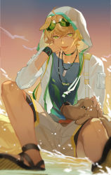 Rule 34 | 1boy, absurdres, animal ears, arknights, bird, black choker, black footwear, blonde hair, blue shirt, blurry, blurry foreground, choker, collarbone, commentary, depth of field, dog, dog boy, dog ears, eyewear on head, green-tinted eyewear, green eyes, grey shorts, highres, hood, hood up, hooded jacket, infection monitor (arknights), jacket, jewelry, looking at viewer, male focus, necklace, open clothes, open jacket, outdoors, sandals, shirt, short hair, shorts, sitting on water, solo, sorashido, sunglasses, sunset, tequila (arknights), tinted eyewear, tongue, tongue out, water, white jacket