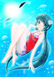 Rule 34 | 10s, 1girl, air bubble, bare legs, barefoot, black hair, blue eyes, blunt bangs, bubble, casual one-piece swimsuit, crossed ankles, finger to mouth, fish, frilled swimsuit, frills, full body, h.i.t (59-18-45), hair ornament, highres, legs folded, long hair, long legs, looking at viewer, low twintails, nagi no asukara, one-piece swimsuit, red one-piece swimsuit, seashell, shell, shiodome miuna, smile, solo, spaghetti strap, sunlight, swimsuit, twintails, underwater, very long hair