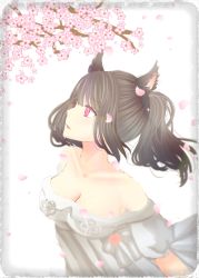 Rule 34 | 10s, 1girl, animal ears, warrior of light (ff14), bad id, bad pixiv id, black hair, breasts, cherry blossoms, cleavage, colored eyelashes, dress, final fantasy, final fantasy xiv, highres, miqo&#039;te, off-shoulder dress, off shoulder, pink eyes, ponytail