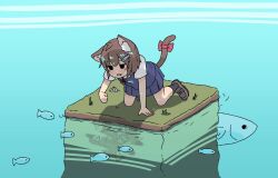 Rule 34 | 1girl, all fours, animal, animal ears, black eyes, bow, brown hair, cat ears, cat girl, cat tail, day, fang, fish, fish hair ornament, full body, grass, hair ornament, hairclip, island, kani aji, kani aji-chan, medium hair, ocean, open mouth, original, outdoors, pleated skirt, red bow, reflection, reflective water, rock, shadow, shoes, short sleeves, skirt, socks, solo, tail, tail bow, tail ornament, water