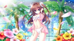 Rule 34 | 1girl, ahoge, bikini, blue eyes, breasts, brown hair, cleavage, dot nose, film grain, flower, front-tie bikini top, front-tie top, game cg, groin, hair intakes, hand in own hair, hand on own leg, hand on own thigh, hibiscus, hibiscus petals, indoors, izumi tsubasu, jacket, long hair, looking at viewer, medium breasts, non-web source, official art, palm tree, pink jacket, re:stage!, scrunchie, shikimiya aone, smile, solo, sparkle, stomach, swimsuit, tree, twintails, underboob, unzipped, water slide, white bikini, white scrunchie, window, zipper
