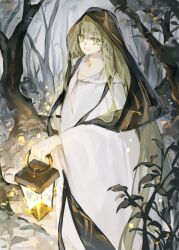 Rule 34 | 1other, androgynous, bare tree, enkidu (fate), fate/strange fake, fate (series), feet out of frame, forest, green eyes, green hair, highres, holding, holding lantern, hood, hood up, lantern, long hair, looking ahead, nature, noname1995, robe, smile, solo, tree