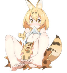 Rule 34 | 10s, 1girl, animal ears, bare shoulders, barefoot, blonde hair, blush, bow, bowtie, breasts, feet, full body, kemono friends, looking at viewer, mouth hold, n (n45987607), serval (kemono friends), serval print, serval tail, short hair, simple background, skirt, sleeveless, solo, tail, toes, underboob, white background