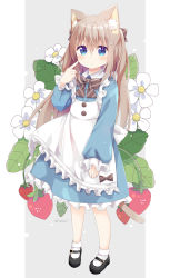 Rule 34 | 1girl, animal ear fluff, animal ears, apron, black footwear, blue dress, blue eyes, blush, bobby socks, bow, brown bow, brown hair, cat ears, cat girl, cat tail, closed mouth, collared dress, commentary request, diagonal stripes, dress, flower, food, frilled apron, frilled dress, frills, fruit, grey background, hair between eyes, hair ornament, hairclip, hand up, highres, long hair, long sleeves, nakkar, original, puffy long sleeves, puffy sleeves, shoes, sleeves past fingers, sleeves past wrists, socks, solo, strawberry, strawberry blossoms, striped, striped bow, tail, twitter username, two-tone background, very long hair, white apron, white background, white flower, white socks, x hair ornament