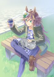 Rule 34 | 1girl, ahoge, animal, animal ears, animal on lap, bench, bow, bowtie, brown footwear, brown hair, cat, cat on lap, closed mouth, coat, coffee cup, cup, day, disposable cup, grass, green coat, green eyes, hair ornament, hairclip, hand up, hat, highres, holding, holding cup, horse ears, long hair, long sleeves, mini hat, mini top hat, mr. c.b. (umamusume), nogi (jczu7445), on lap, open clothes, open coat, outdoors, purple shirt, purple skirt, purple thighhighs, sailor collar, school uniform, shirt, shoes, sitting, skirt, smile, solo, steam, thighhighs, top hat, tracen school uniform, umamusume