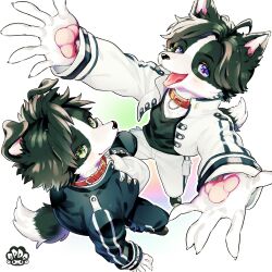 Rule 34 | 2boys, ahoge, animal collar, animal ears, animal hands, arms up, artist logo, bishounen, black footwear, black fur, black hair, black jacket, black pants, black shirt, body fur, claws, closed mouth, collar, cropped jacket, dog boy, dog ears, dog tail, full body, furry, furry male, green eyes, high collar, highres, jacket, light blush, long sleeves, looking at viewer, mokotalow11, multicolored background, multiple boys, open clothes, open jacket, open mouth, original, pants, perspective, purple eyes, reaching, reaching towards viewer, red collar, shirt, short hair, siblings, simple background, standing, tail, tongue, tongue out, twins, white background, white fur, white jacket, white pants, white shirt