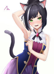 Rule 34 | 1girl, animal ear fluff, animal ears, arm up, armpits, bare arms, bare shoulders, black hair, blush, breasts, brooch, cat ears, cat girl, cat tail, fangs, gold trim, green eyes, highres, ironatsuki, jewelry, karyl (princess connect!), long hair, looking at viewer, multicolored hair, nose blush, open mouth, ponytail, princess connect!, purple skirt, shirt, simple background, skirt, sleeveless, sleeveless shirt, small breasts, solo, streaked hair, tail, tail raised, upper body, white background
