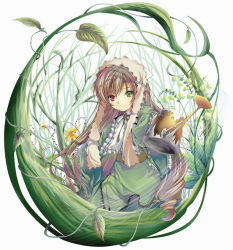 Rule 34 | 00s, 1girl, black ribbon, brown hair, character name, closed mouth, corset, dress, english text, foreshortening, frilled sleeves, frills, green dress, green eyes, headset, heterochromia, holding, leaf, long hair, long sleeves, looking at viewer, maid, outstretched arm, plant, red eyes, ribbon, rozen maiden, simple background, smile, solo, suiseiseki, upper body, vines, watering can, white background, wide sleeves, yamamoto nori