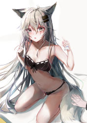 Rule 34 | 1girl, absurdres, animal ear fluff, animal ears, arknights, black bra, black panties, blush, bow, bow bra, bra, brown eyes, fang, groin, hair between eyes, hair ornament, hairclip, hands up, highres, holding, kneeling, lappland (arknights), leaning forward, long hair, looking at viewer, material growth, navel, oripathy lesion (arknights), panties, parted lips, scar, scar across eye, scar on face, silver hair, solo focus, tail, underwear, underwear only, very long hair, white background, yue (qtxyjiang)