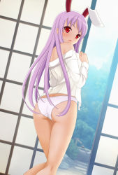Rule 34 | 1girl, animal ears, ass, bare shoulders, blush, rabbit ears, from behind, highres, indoors, kneepits, legs, long hair, looking back, no pants, no tail, off shoulder, open clothes, open mouth, open shirt, panties, purple hair, red eyes, reisen udongein inaba, shirt, sliding doors, solo, touhou, underwear, undressing, white panties, white shirt, xiansan ren ye