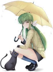 Rule 34 | 1girl, absurdres, ashford academy school uniform, black cat, black footwear, black skirt, black socks, bow, budgiepon, c.c., cat, closed mouth, code geass, commentary, curvy, expressionless, eyelashes, from side, full body, green hair, hair between eyes, hair bow, hand on own thigh, hand up, highres, holding, holding umbrella, jacket, kneehighs, light blush, loafers, long hair, long sleeves, looking at another, looking at viewer, low ponytail, miniskirt, rain, school uniform, shoes, sidelocks, simple background, skirt, socks, solo, squatting, straight hair, thighs, tiptoes, umbrella, very long hair, water drop, white background, white bow, yellow eyes, yellow jacket, yellow umbrella