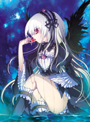Rule 34 | 00s, 1girl, female focus, frills, hairband, crossed legs, long hair, red eyes, room603, rozen maiden, silver hair, sitting, solo, suigintou, water, wet, wings