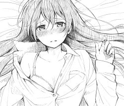Rule 34 | 10s, 1girl, bare shoulders, blush, bra, collared shirt, greyscale, long hair, long sleeves, looking at viewer, love live!, love live! school idol project, lying, monochrome, nose blush, on back, open clothes, open shirt, shirt, sketch, solo, sonoda umi, unbuttoned, underwear, yukiiti