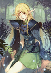 Rule 34 | 1girl, absurdres, armor, artist request, blue cape, blue gloves, breastplate, brown eyes, cape, day, deedlit, dress, elbow gloves, floating hair, forest, gloves, green dress, hidari (left side), highres, long hair, looking at viewer, nature, outdoors, parted lips, pointy ears, record of lodoss war, short dress, shoulder blades, sitting, sleeveless, sleeveless dress, solo, very long hair