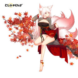 Rule 34 | 1girl, :&lt;, adjusting hair, alternate hair color, animal ear fluff, animal ears, autumn leaves, barefoot, black dress, branch, breasts, bright pupils, cleavage, cleavage cutout, closed mouth, closers, clothing cutout, dress, falling leaves, fingernails, fox ears, fox girl, fox tail, frown, full body, hand up, highres, kitsune, kyuubi, large breasts, layered dress, leaf, long fingernails, long hair, long sleeves, looking at viewer, low ponytail, maple leaf, mirae (closers), multiple tails, official art, on branch, pink tail, pinky out, red dress, red eyes, see-through, see-through sleeves, short dress, sitting, sitting on branch, skirt hold, solo, tail, two-tone dress, white background, white hair, white pupils