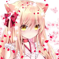 Rule 34 | 1girl, animal ear fluff, animal ears, bow, cat ears, closed mouth, commentary request, floral background, floral print, hair between eyes, hair bow, japanese clothes, kimono, light brown hair, long hair, looking at viewer, nanase kureha, nanase nao, one side up, original, petals, pink kimono, print kimono, red bow, sleeveless, sleeveless kimono, solo, white background, yellow eyes