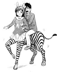 1boy, 1girl, alternate form, anger vein, angry, animal ears, arms up, bangs, teeth, black hair, black stripes, blazer, blush, bow, boy on top, breast grab, breasts, centaur, centauroid, commentary, embarrassed, full body, furrowed eyebrows, grabbing, grabbing from behind, greyscale, grimace, groping, hair bow, hand on another&#039;s chest, hoof, jacket, leg up, long hair, mashima chloe, mazama jin, monochrome, motion slit, multicolored hair, murenase! shiiton gakuen, neckerchief, necktie, o o, open mouth, pleated skirt, ponytail, riding, school uniform, shadow, shoes, skirt, small breasts, striped, surprised, sweatdrop, taur, two-tone hair, what, white stripes, y.ssanoha, zebra, zebra ears, zebra girl, zebra tail