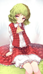 Rule 34 | 1girl, aged down, ascot, bloomers, gradient background, green hair, highres, kazami yuuka, long sleeves, looking at viewer, open clothes, open vest, red eyes, ripu (lipi), shirt, sitting, skirt, skirt set, solo, touhou, underwear, vest, wavy hair