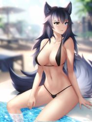 Rule 34 | 1girl, :3, animal ear fluff, animal ears, arm at side, bare arms, bare shoulders, beach umbrella, bikini, black bikini, black hair, blue eyes, blurry, blurry background, breasts, chair, cleavage, collarbone, day, depth of field, fang, fingernails, gigamessy, gradient hair, grey hair, grey wolf (kemono friends), groin, heterochromia, kemono friends, large breasts, large tail, long hair, looking away, looking to the side, lounge chair, micro bikini, multicolored hair, navel, on floor, outdoors, parted lips, pool, poolside, signature, sitting, soaking feet, solo, stomach, sunlight, swimsuit, tail, umbrella, water, wolf ears, wolf girl, wolf tail, yellow eyes