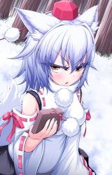 Rule 34 | 1girl, animal ears, bare shoulders, box, breasts, chocolate, detached sleeves, fang, gift, gift box, hat, inubashiri momiji, looking at viewer, nature, obligation chocolate, open mouth, pom pom (clothes), red eyes, ribbon, short hair, silver hair, solo, tail, teacle, tokin hat, touhou, valentine, wolf ears, wolf tail