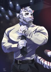 Rule 34 | 1boy, adjusting clothes, adjusting necktie, alternate costume, alternate facial hair, animal ears, arknights, bara, beard, black necktie, black pants, collared shirt, cowboy hat, facial hair, formal, furry, furry male, hat, highres, large pectorals, looking to the side, male focus, mature male, mountain (arknights), muscular, muscular male, necktie, pants, pectorals, plilitbluu, ponytail, shirt, short hair, solo, thick eyebrows, tiger boy, tiger ears, tight clothes, tight shirt, white fur