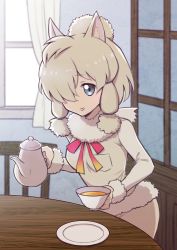 Rule 34 | 10s, 1girl, :d, alpaca ears, alpaca suri (kemono friends), animal ears, blonde hair, blue eyes, breasts, cafe, chair, collar, cup, curtains, fluffy collar, fur collar, fur trim, hair bun, hair over one eye, hair ribbon, holding, holding cup, indoors, inumoto, kemono friends, long sleeves, looking at viewer, medium breasts, neck ribbon, open mouth, pocket, ribbon, saucer, short hair, single hair bun, smile, solo, swept bangs, table, tareme, tea, teacup, teapot, tress ribbon, window, wooden chair, wooden table