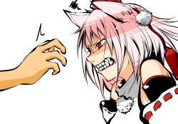 Rule 34 | 1girl, a.f.o, angry, animal ears, bare shoulders, clenched teeth, detached sleeves, face, fangs, female focus, hat, inubashiri momiji, pink hair, pom pom (clothes), profile, red eyes, scowl, snarl, solo, squiggle, teeth, tokin hat, touhou, transparent background, wolf ears